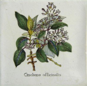 China Officinalis