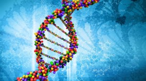 genetica2