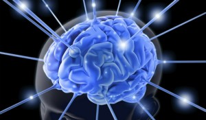 neuro science