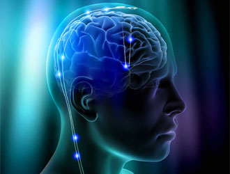 neuroscienze_cervello