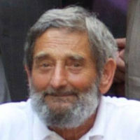 Prof. Vittorio Elia