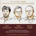 🏅 Premio Nobel 2026 per la Medicina: la luce dialoga con il cervello. Dalle proteine fotosensibili nasce l’optogenetica e cambia il modo di studiare il cervello.