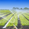 Irrigazione: acqua e campi elettromagnetici, un binomio da esplorare